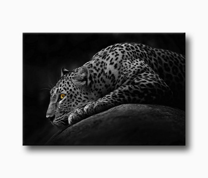 leopar Hayvan Fotoğraf, pusudaki leopar