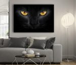 kara kedi fotoğrafları