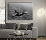 f16 uçağı solotürk tablo