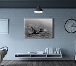 f16 gösteri uçağı solotürk tablo