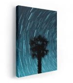 uzun pozlama yıldız kanvas tablo, Long Exposure Painting, Palmiye Ağacı, Palm Tree